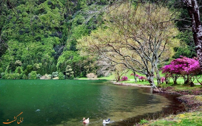 تور گردشگری