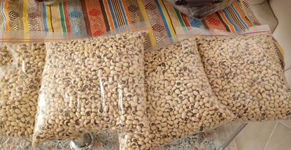 محصولات ارگانیک دشتستان سبز