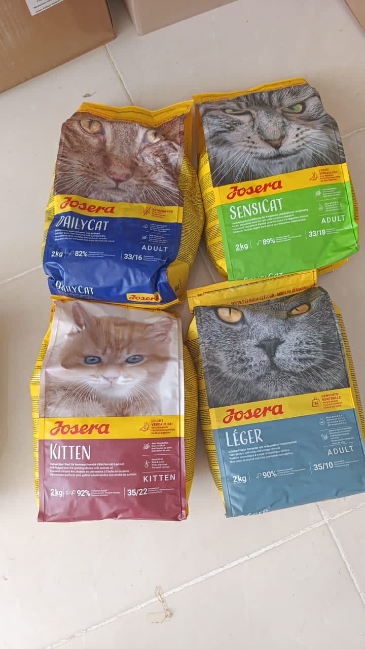 غذای حیوانات سگ و گربه