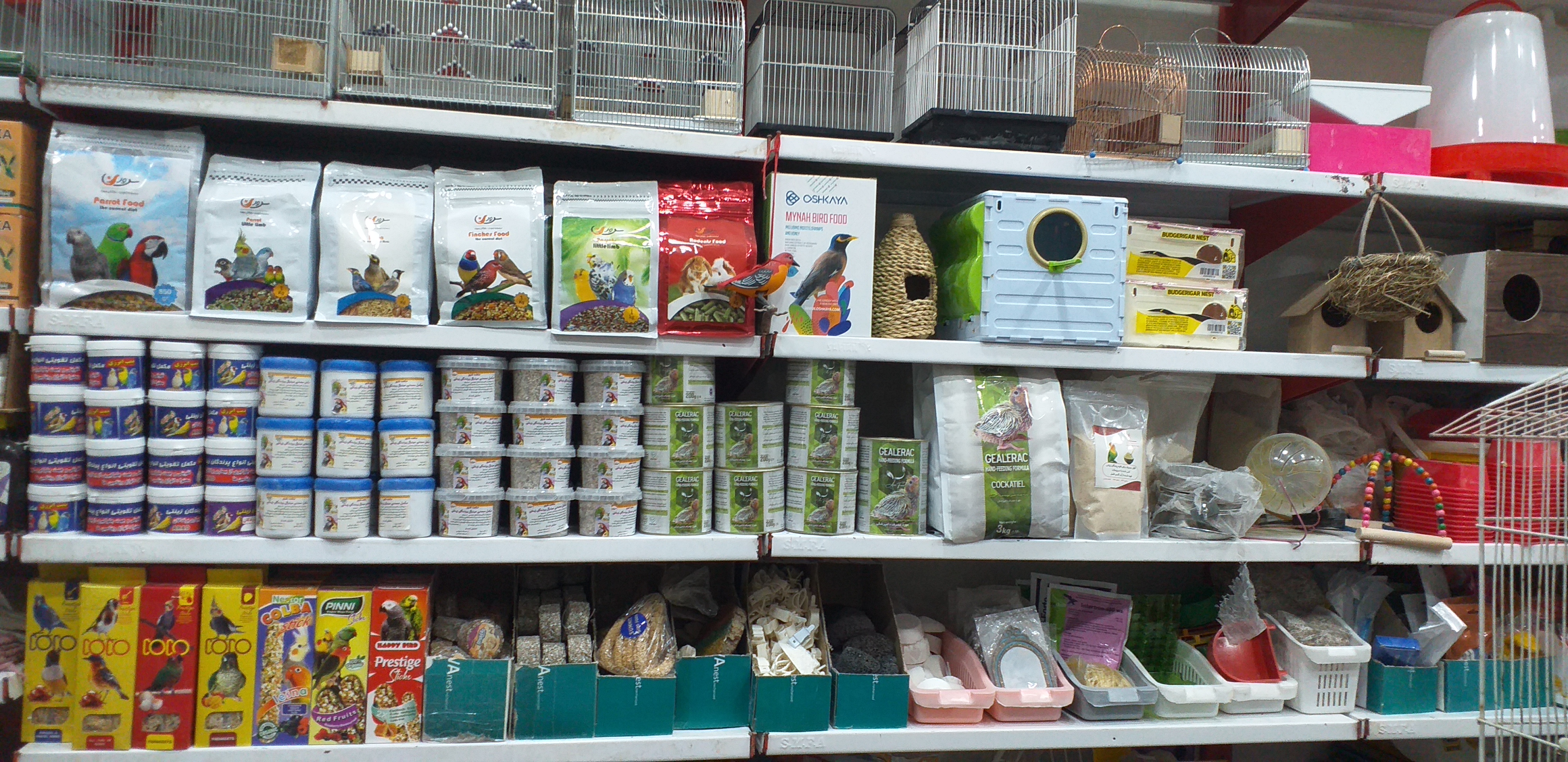 پرنده سرای آشیانه