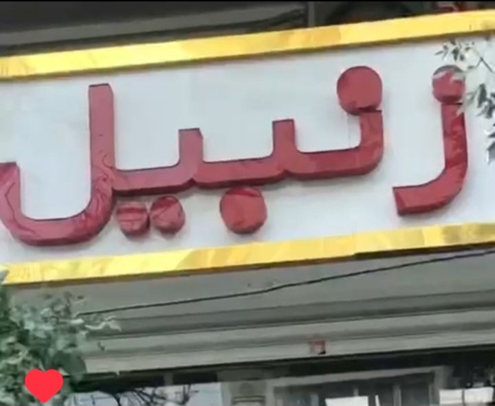 پلاسکوزنبیل