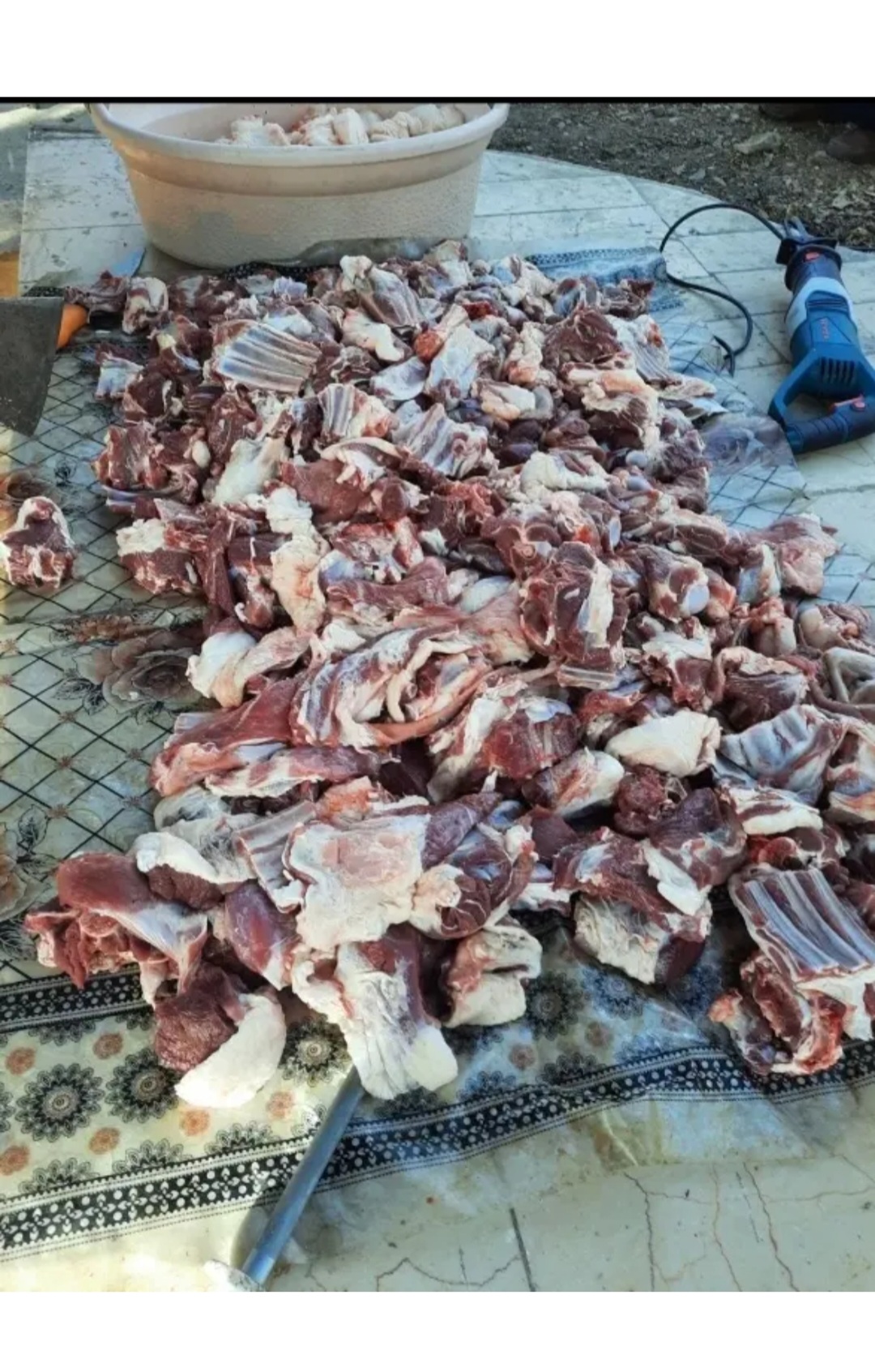 گوسفندزنده
