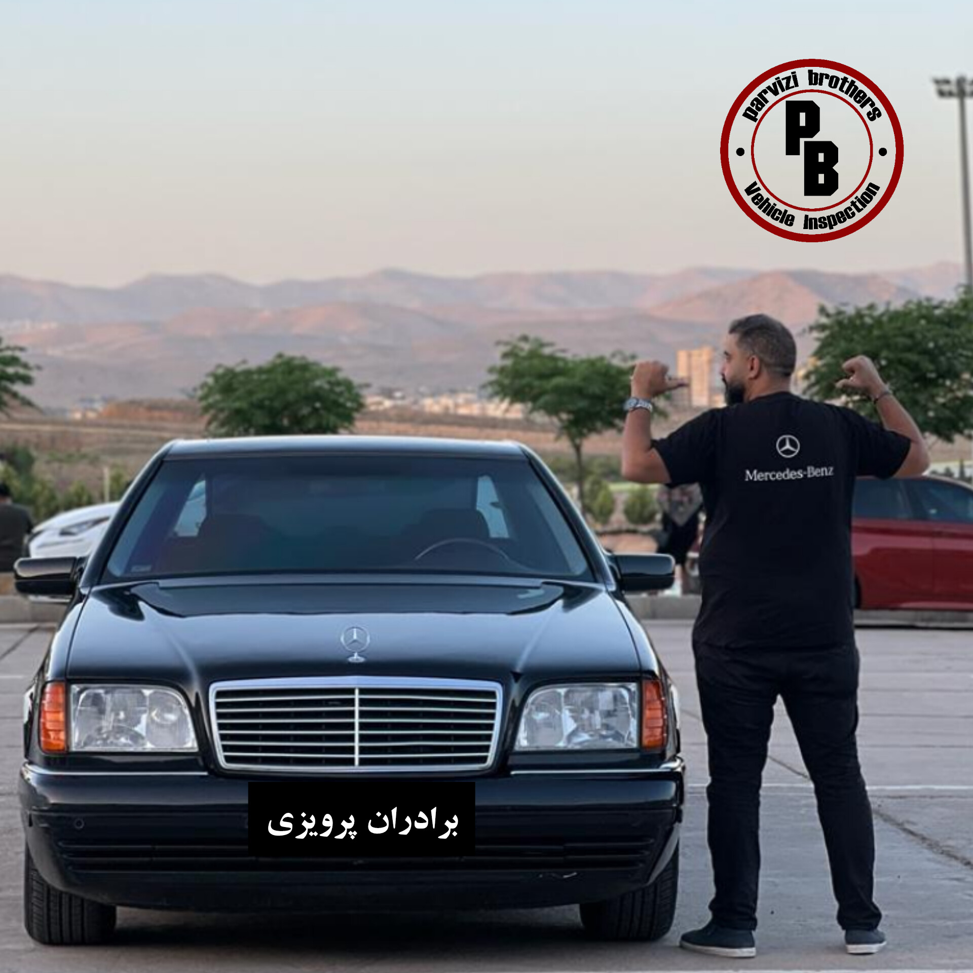 کارشناسی و تشخیص رنگ برادران پرویزی