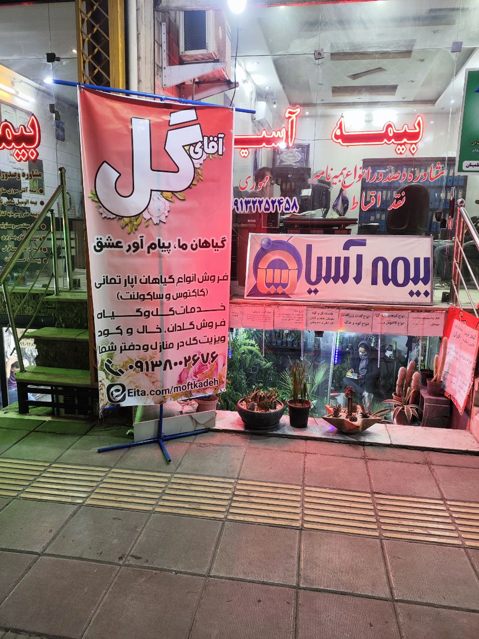 گل و گیاه طبیعی علیرضا روحی