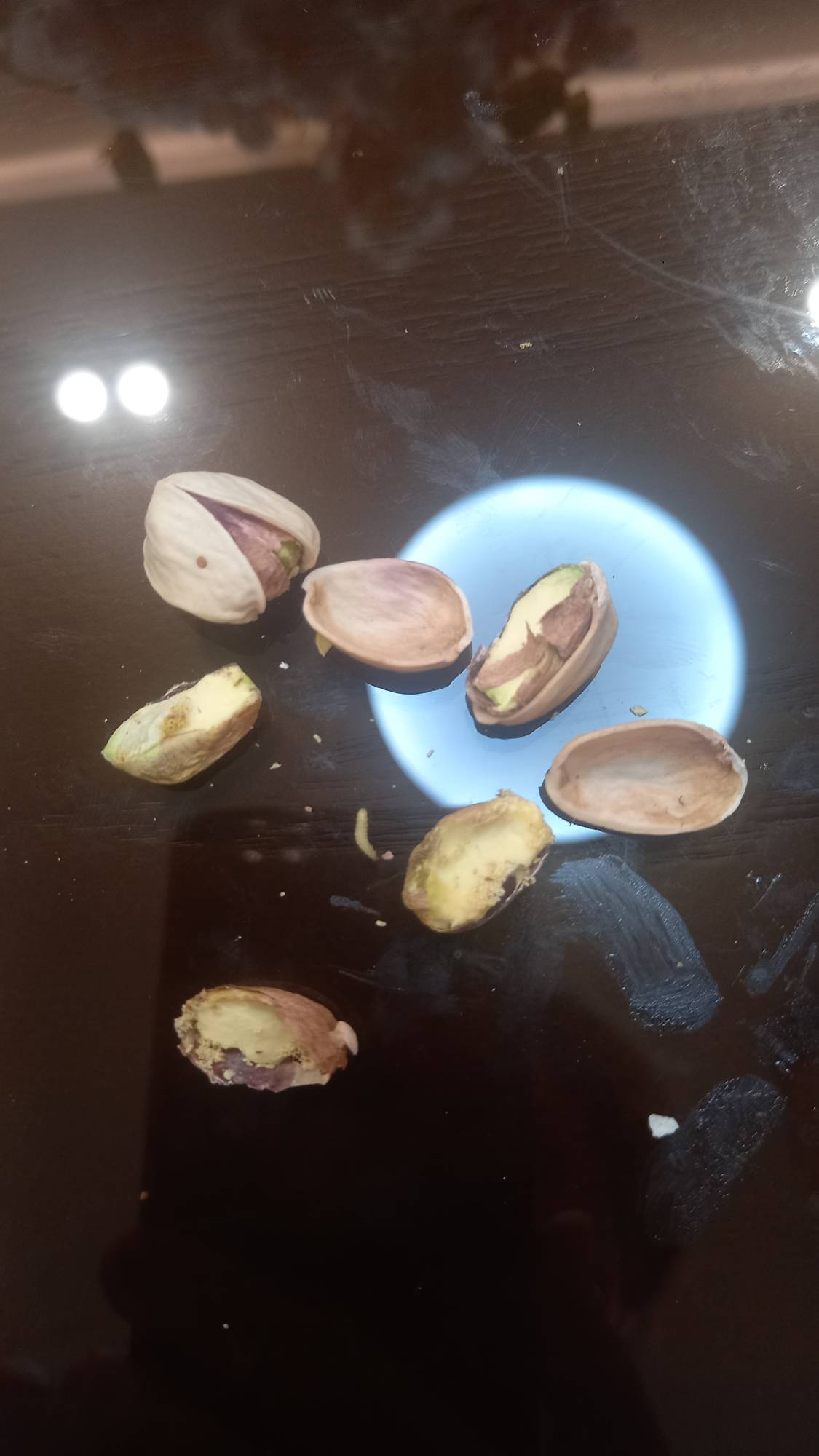 باشگاه افق مهر
