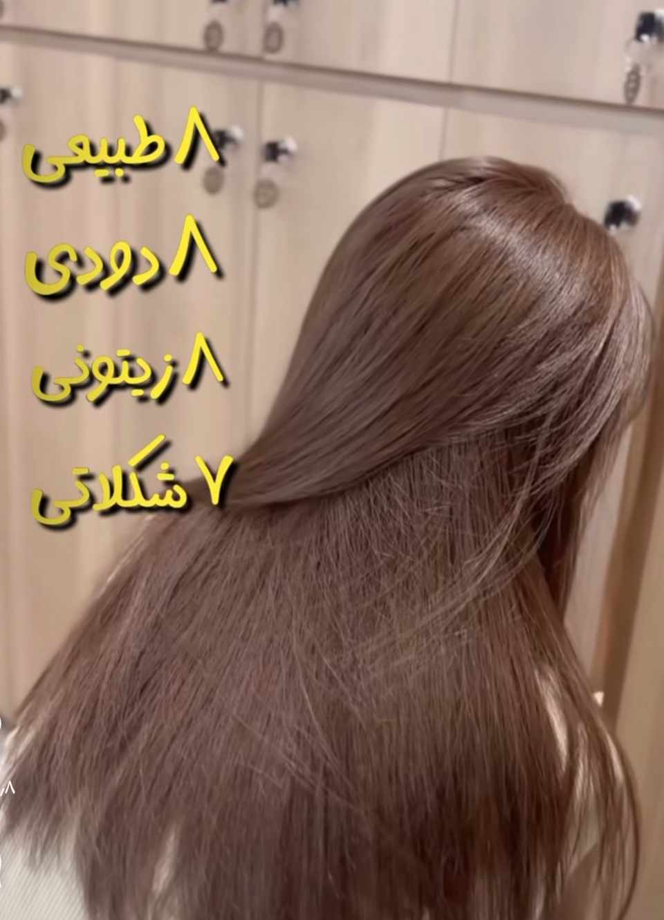 آرایشگر الهام مجیدی