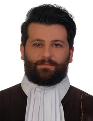 وکیل دادگستری