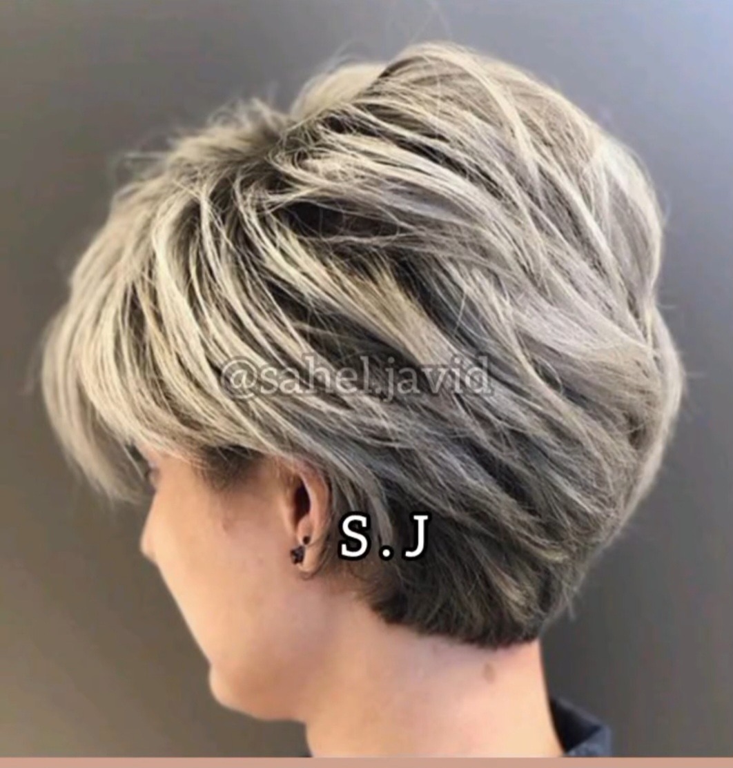 خدمات تخصصی ساحل جاوید