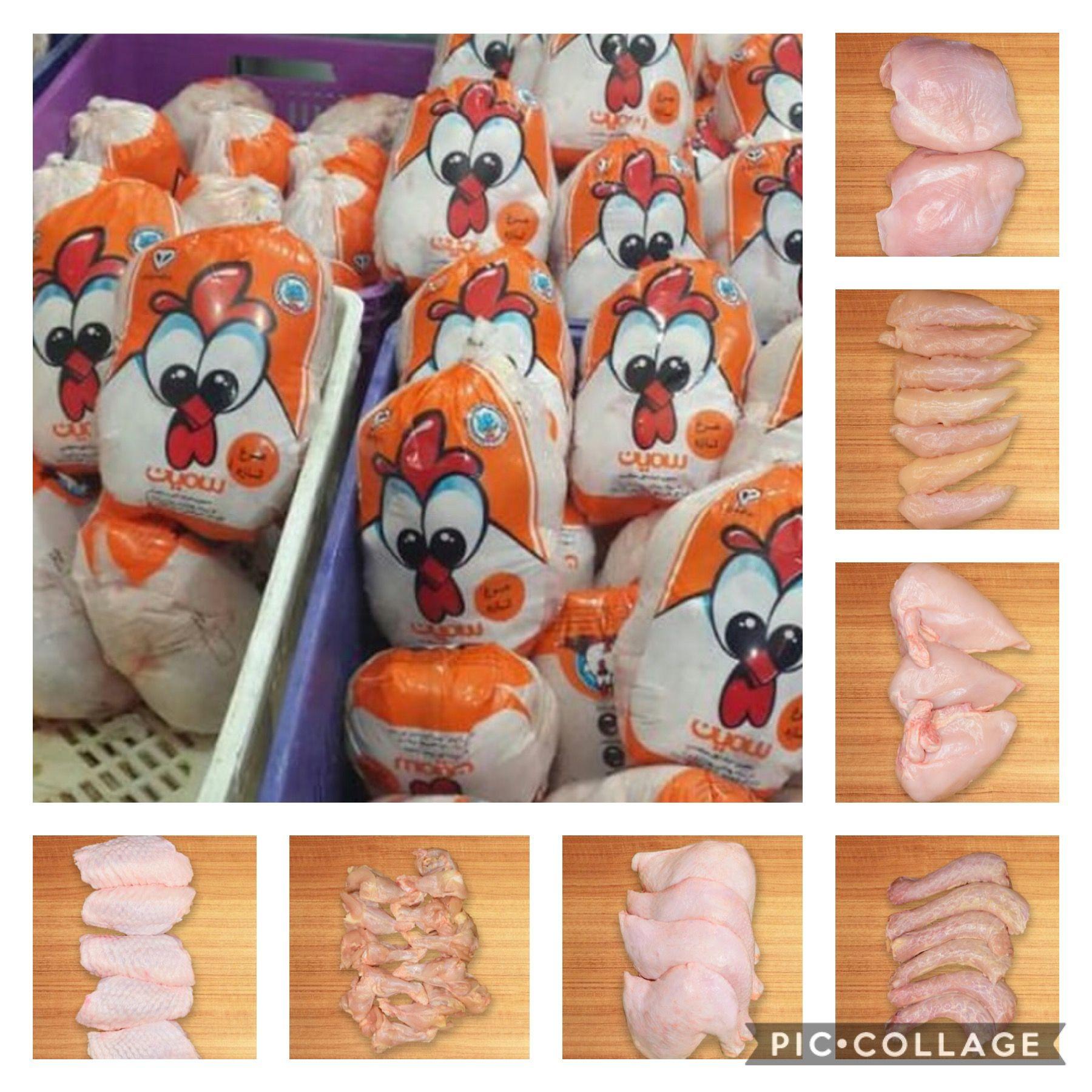 پخش عمده قطعه بندی مرغ