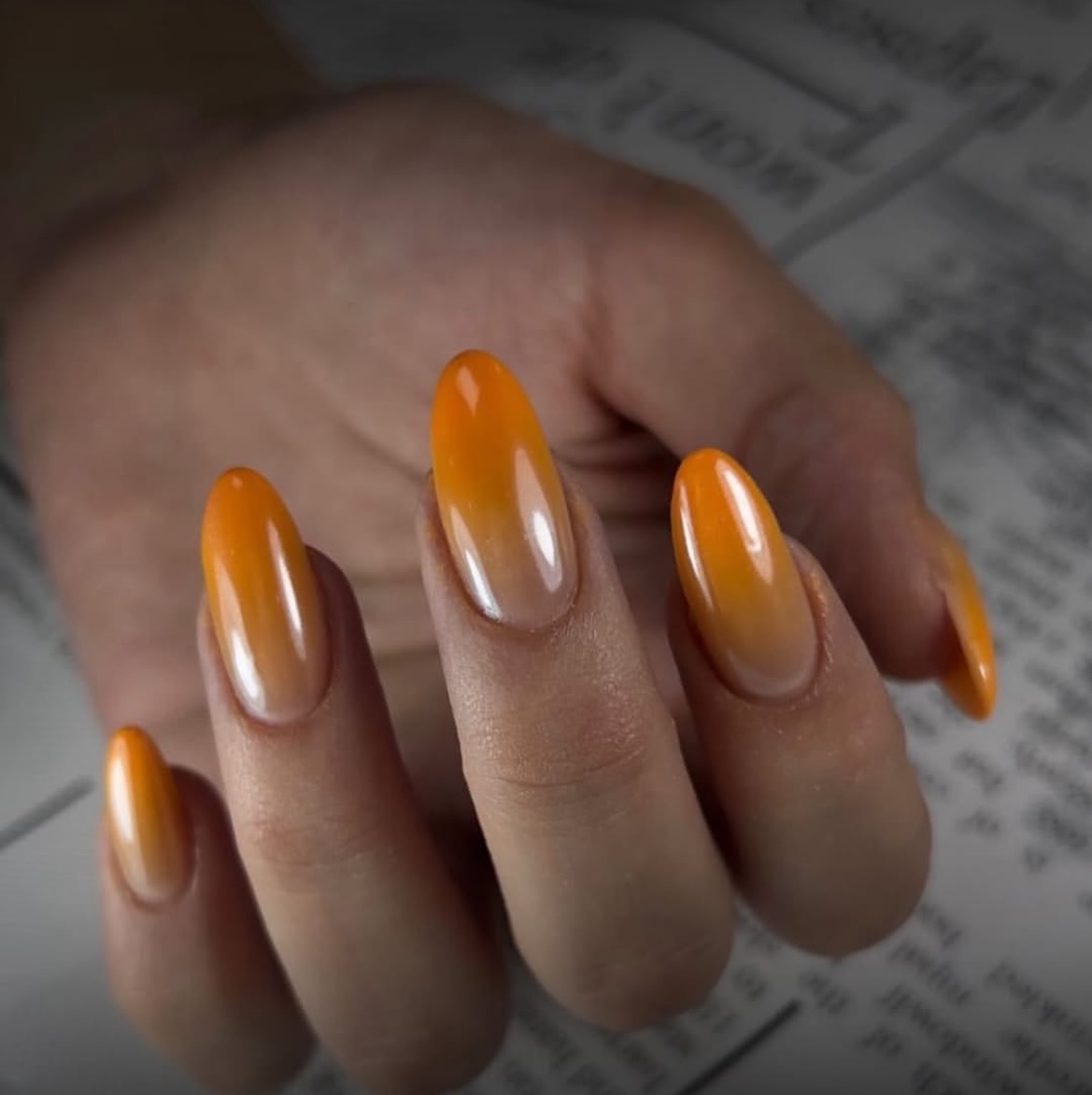 نیل بار ساینا