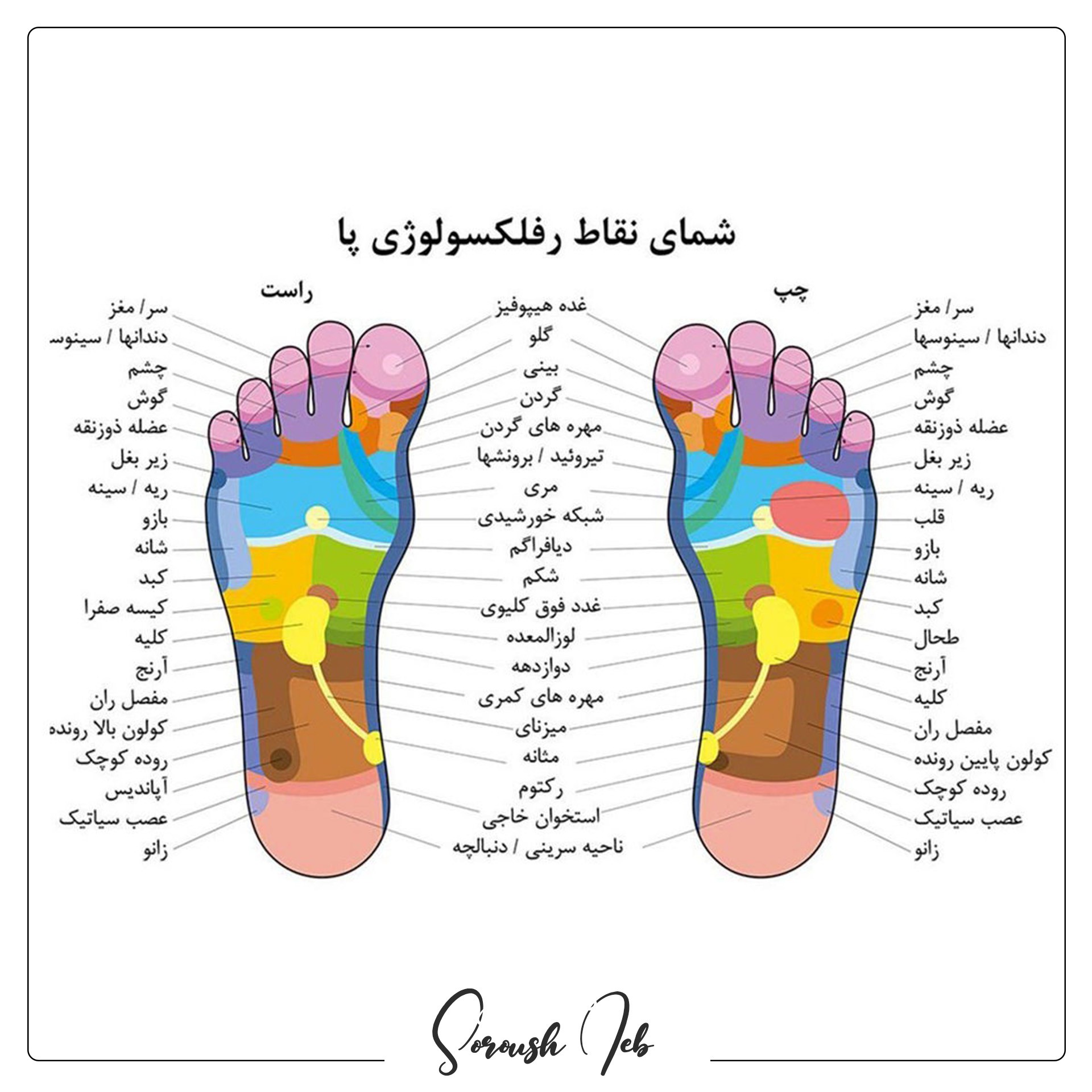پدیکور درمانی و درمان ناخن توی گوشت