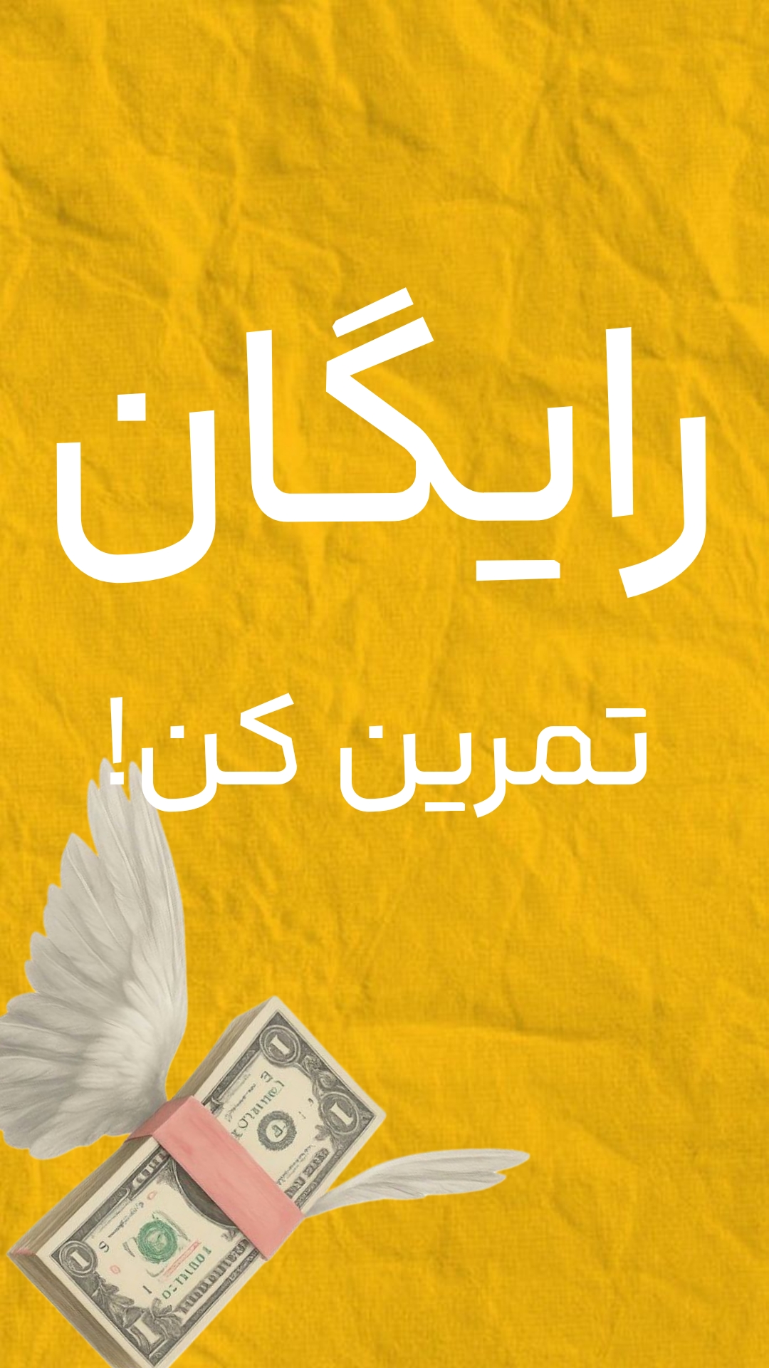 باشگاه علمی ورزشی سیوا