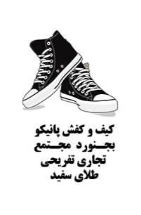 کیف و کفش پانیکو