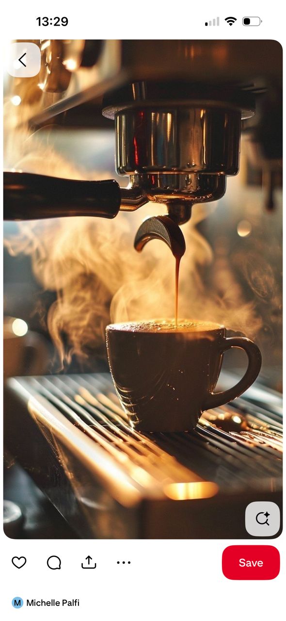 کافه فست فود مجید قلی پور