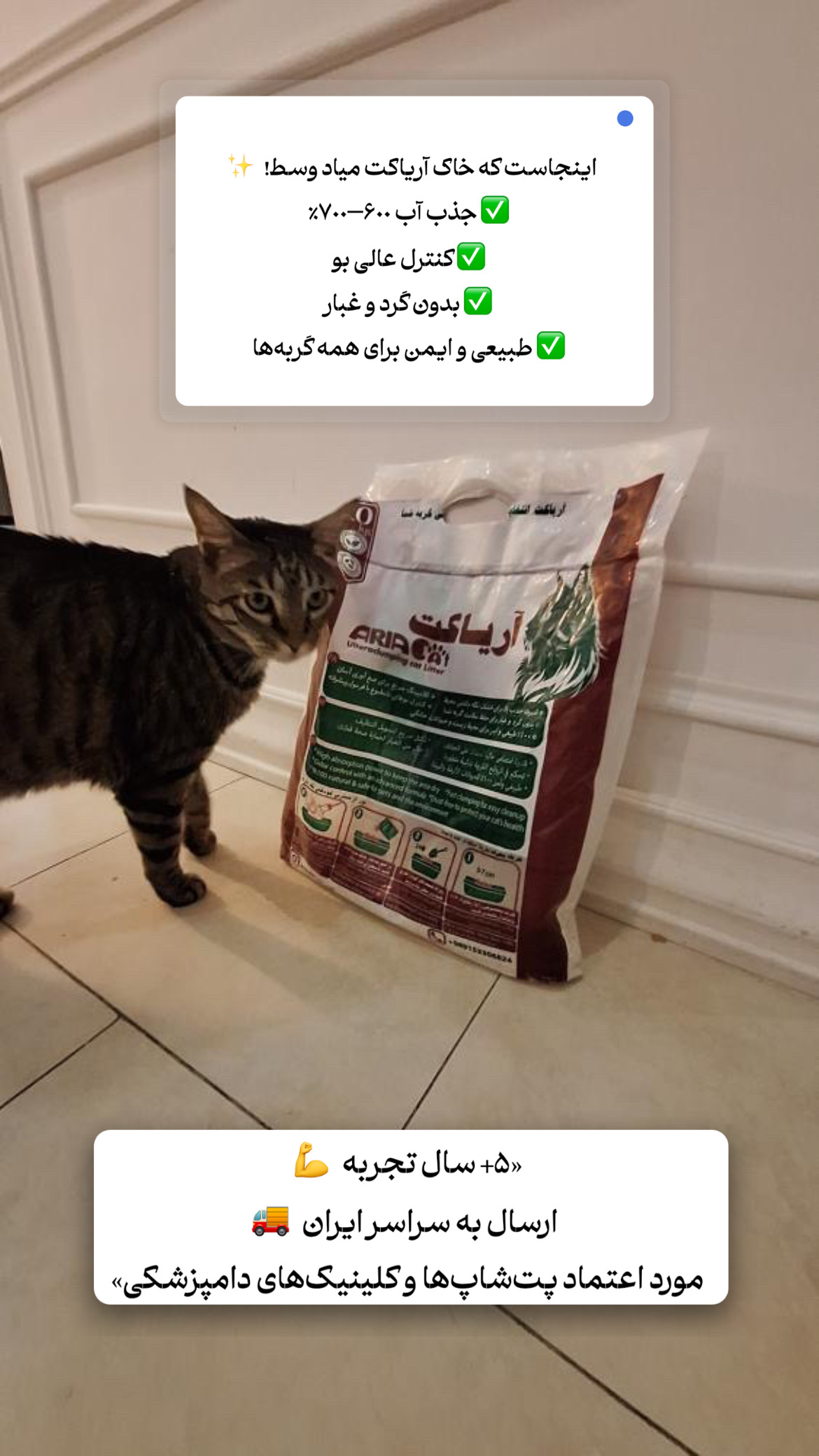 خاک گربه آریاکت