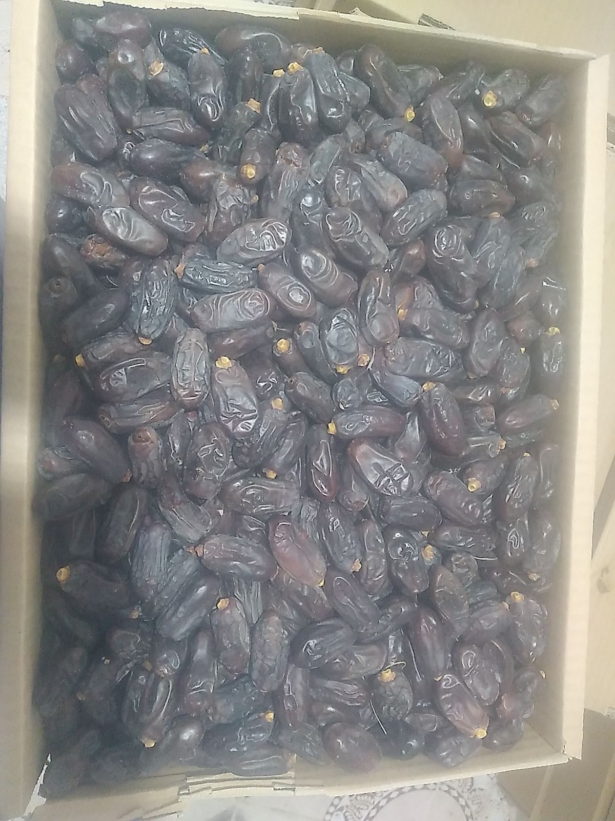 فروشنده خرما