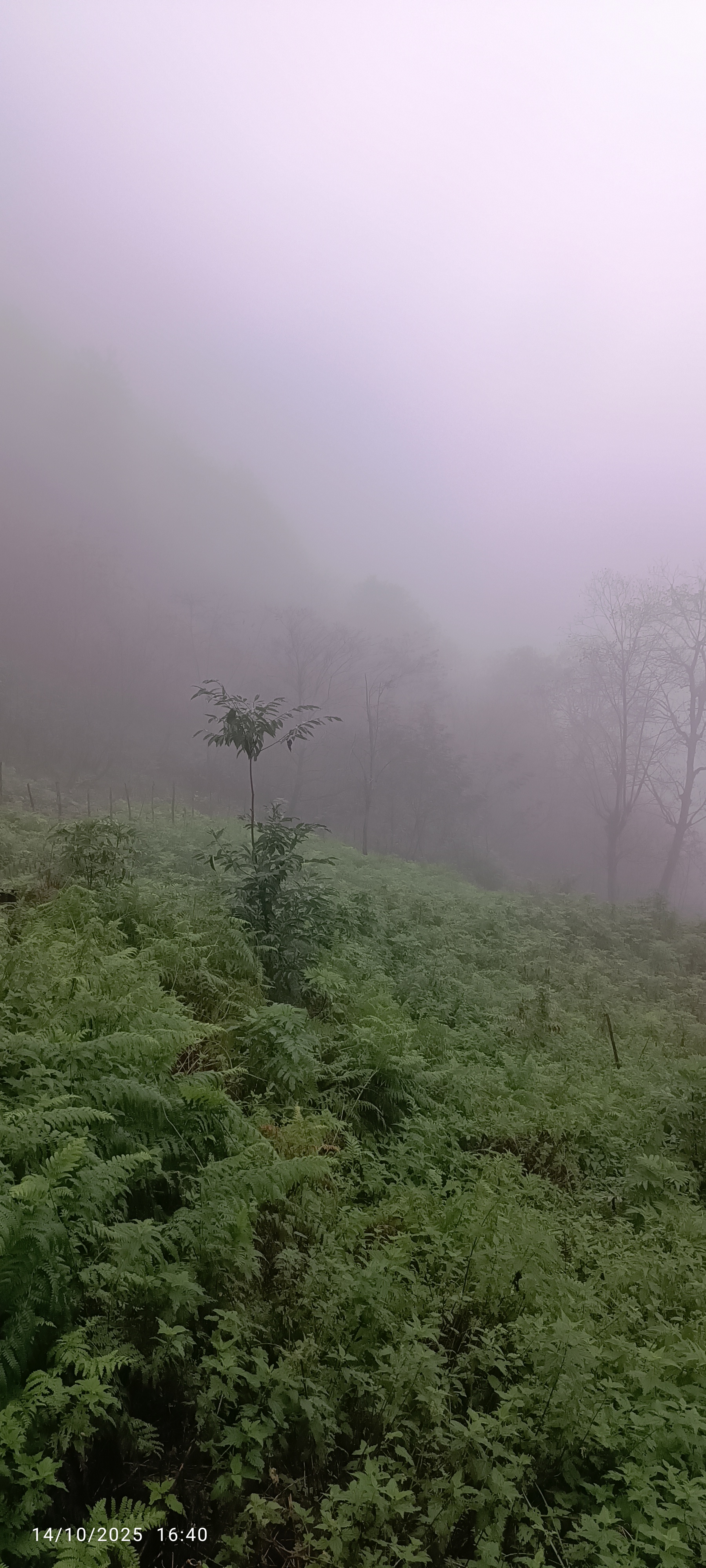 اقامتگاه دخترانه رهایی