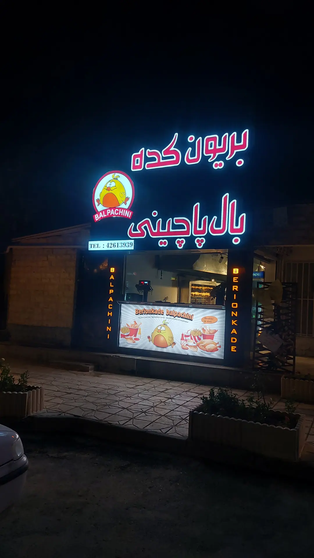 مرکز تخصصی بریونکده بال پاچینی