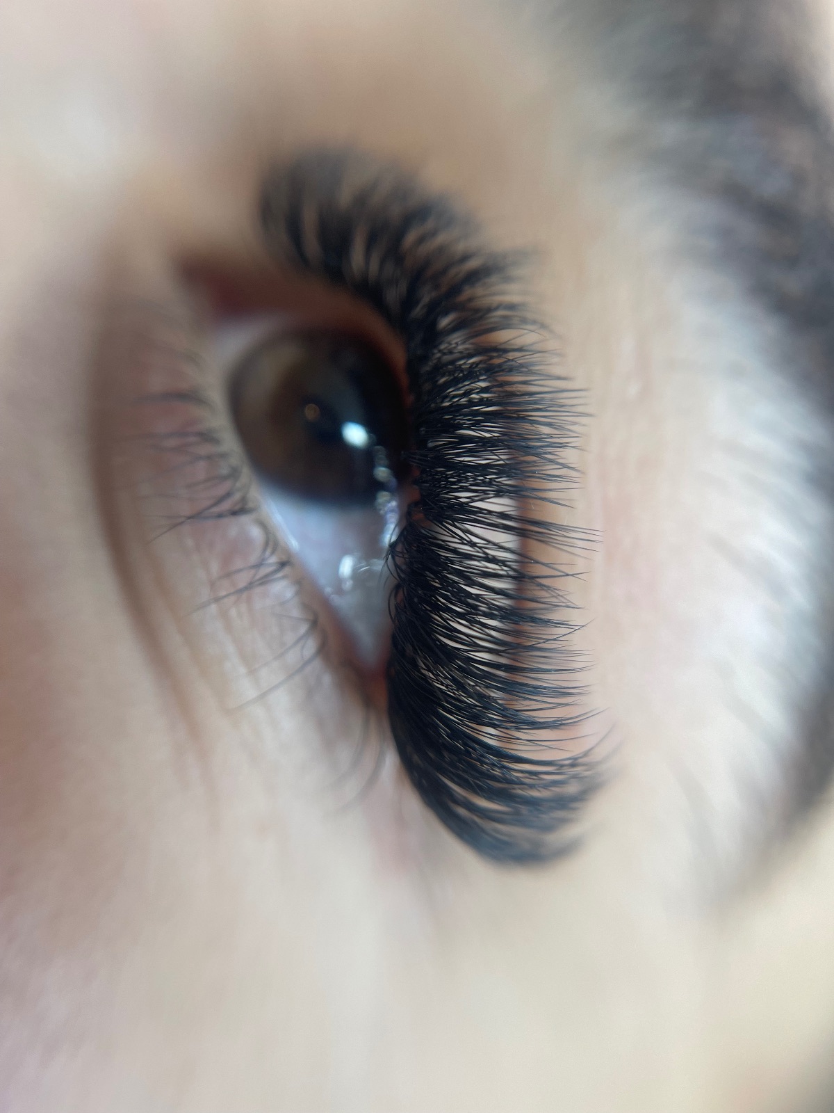 خدمات تخصصی مژه سمانه فیروز