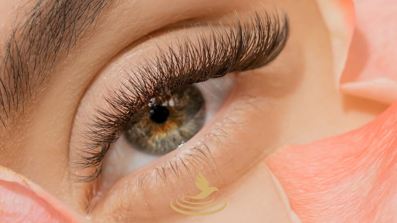 خدمات تخصصی اکستنشن مژه لیفت مژه ستایش