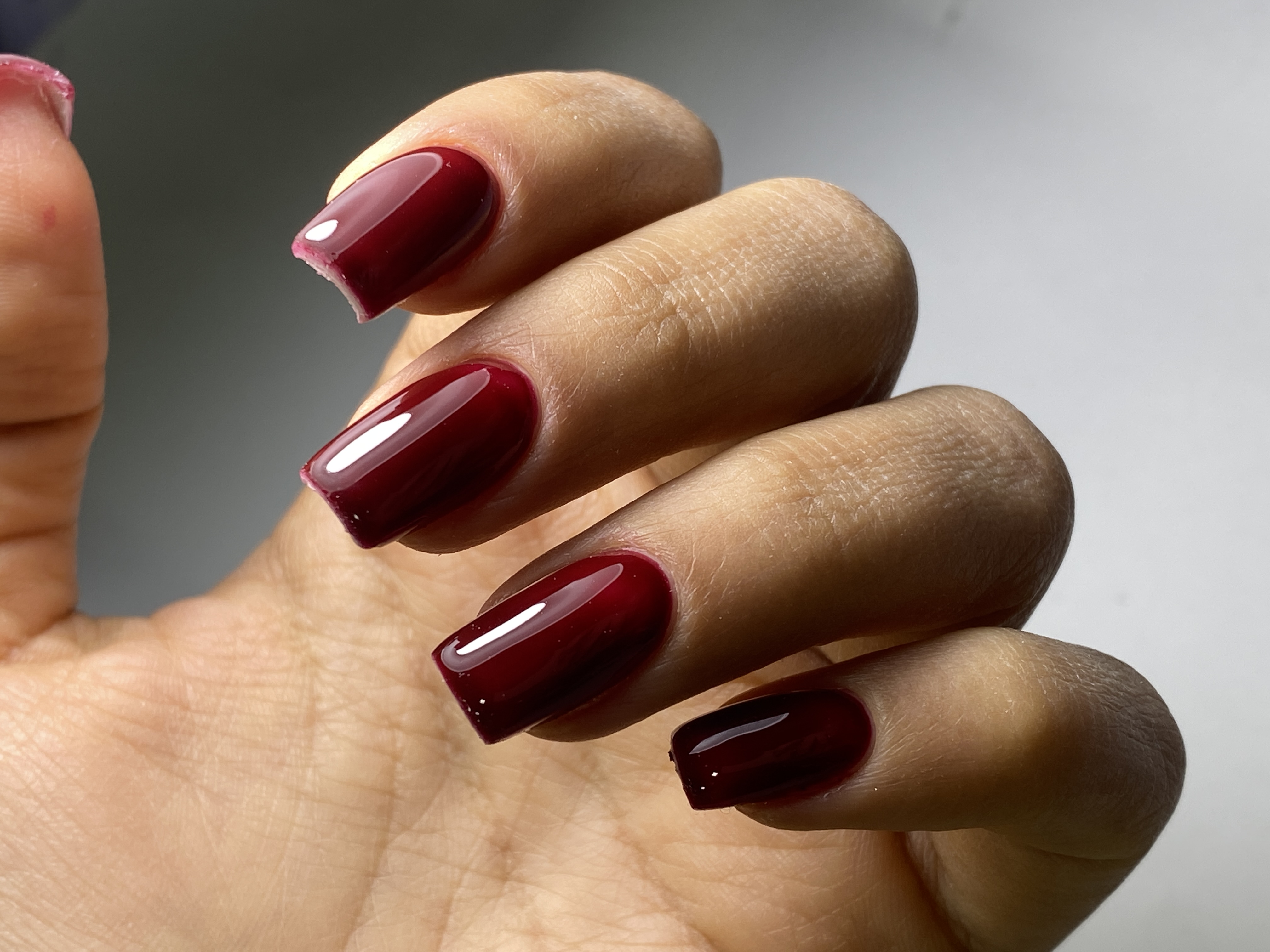 خدمات تخصصی ناخن شقایق