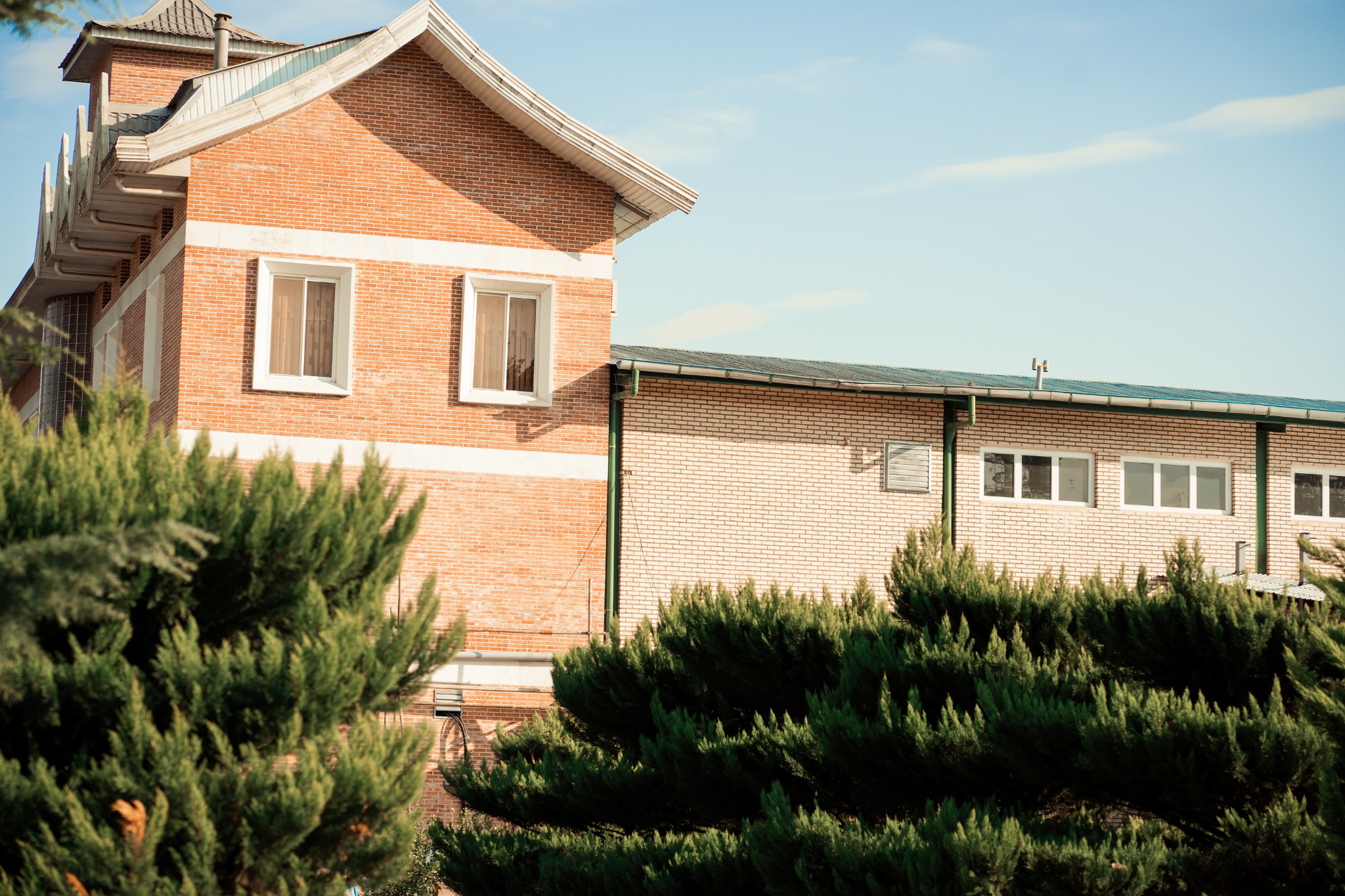 پایا پلاست کاسپین تولید ظروف یکبار مصرف