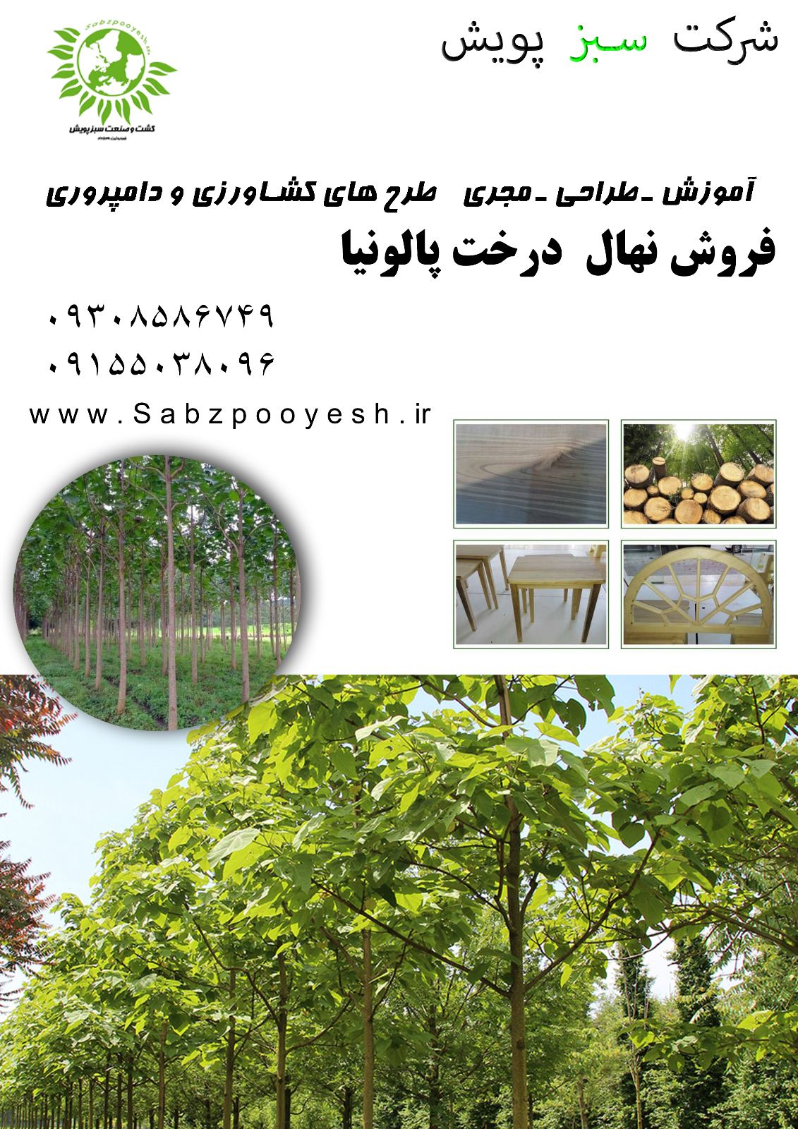 شرکت سبز پویش کسب‌وکار دارای مالک تأییدشده