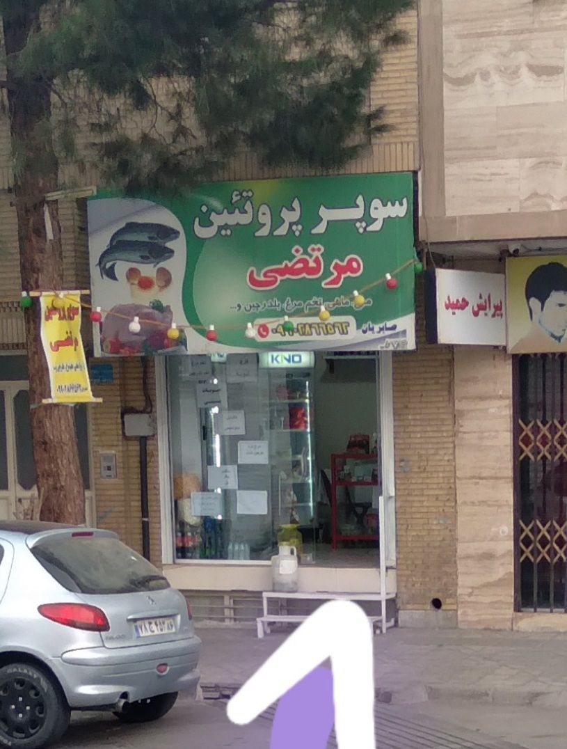 سوپر پروتئین مرتضی