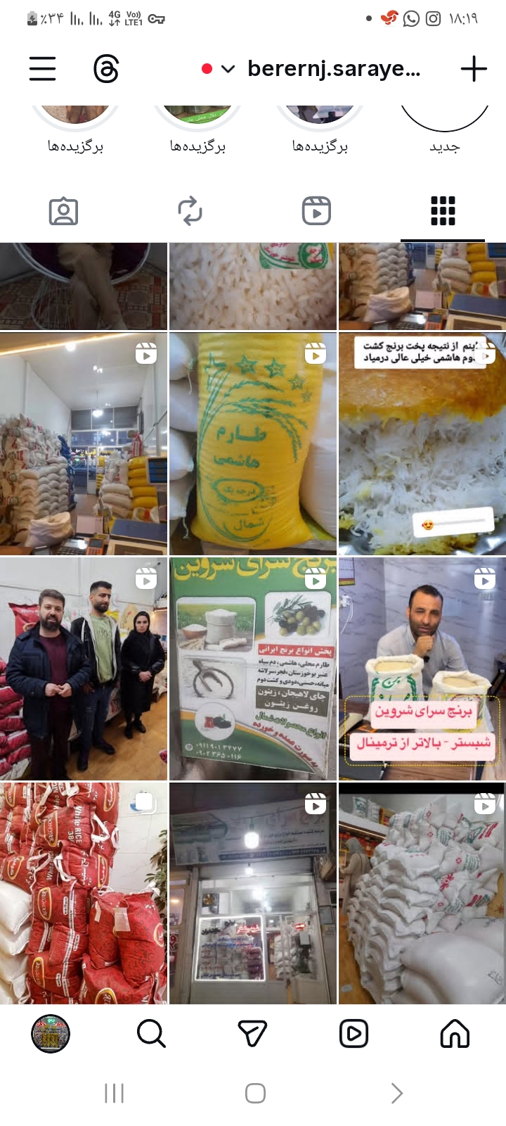 برنج سرای شروین