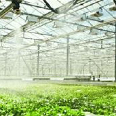 شرکت تعاونی سبز پیشه