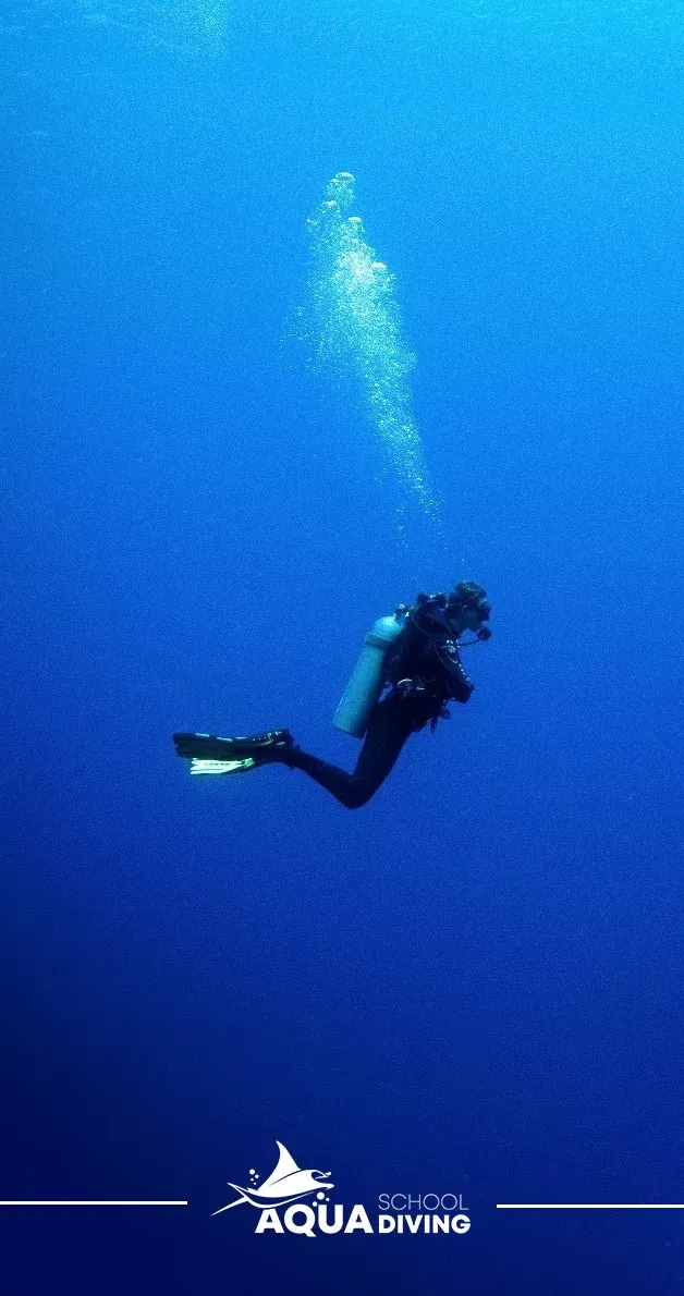 مدرسه بین المللی شنا و غواصی آکوا