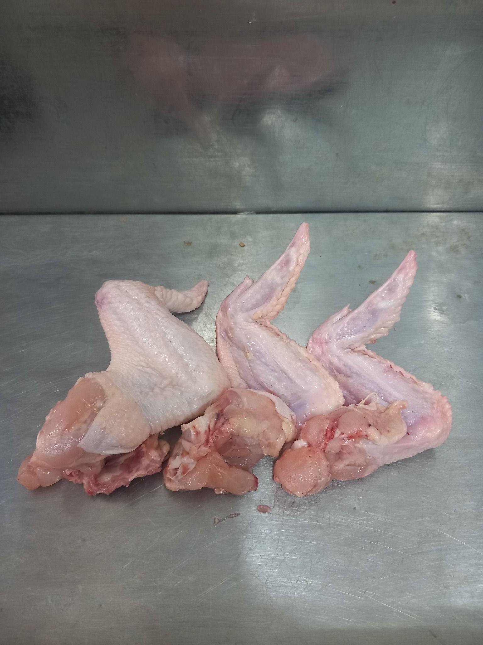 مرغ وماهی شهروند وجزیره گوشت