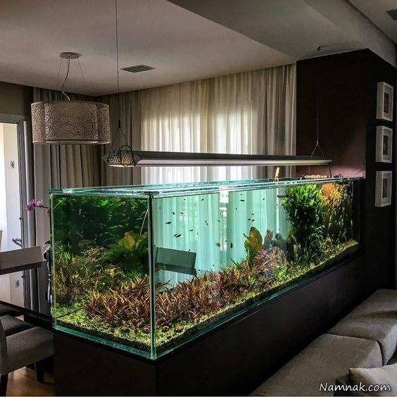 اکواریوم رادمان