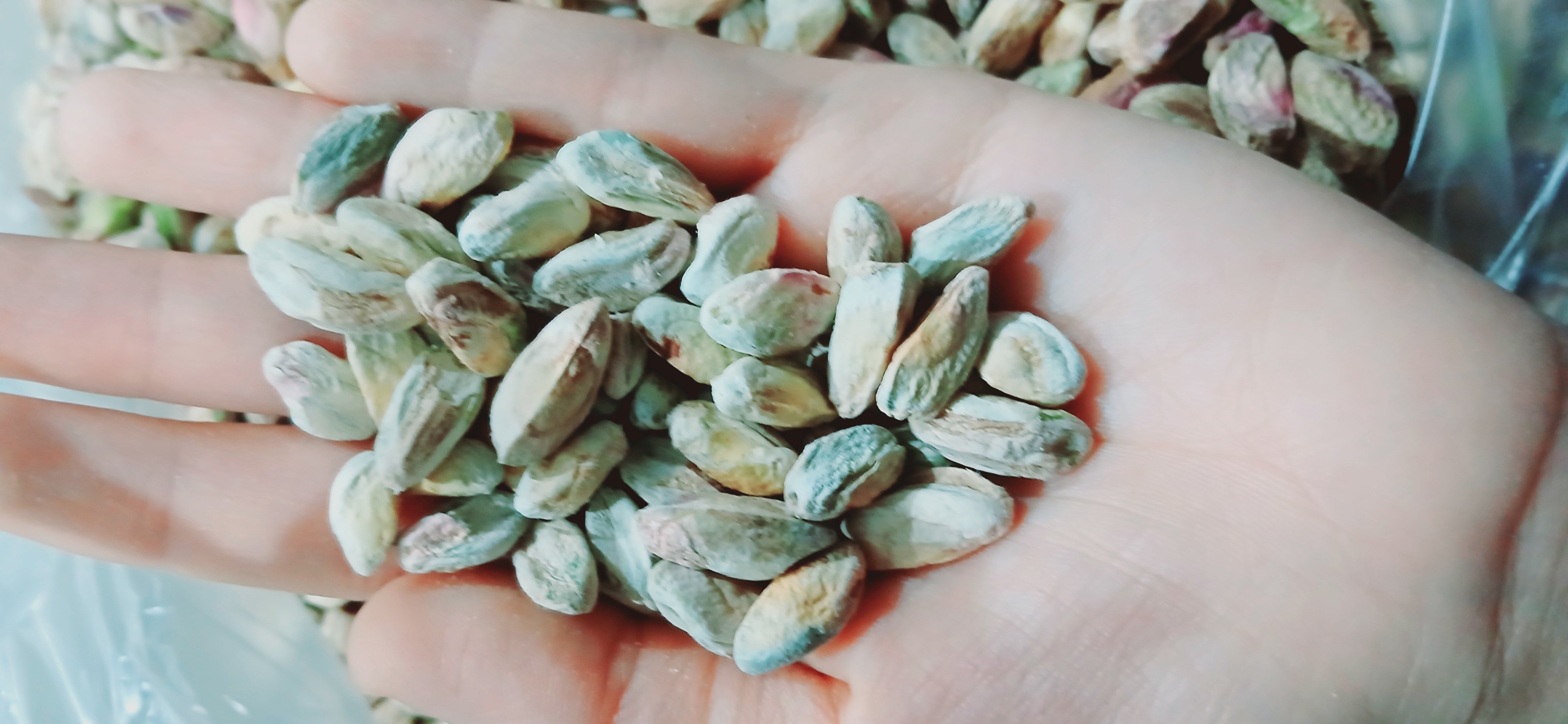 پخش اجیل و قهوه زینلی