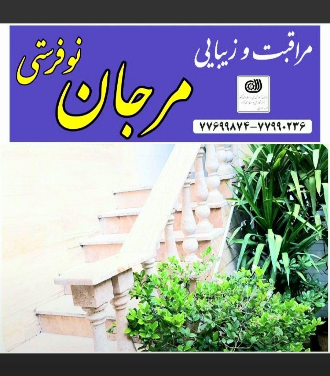 سالن زیبایی آموزشگاه مرجان(ارکیده)