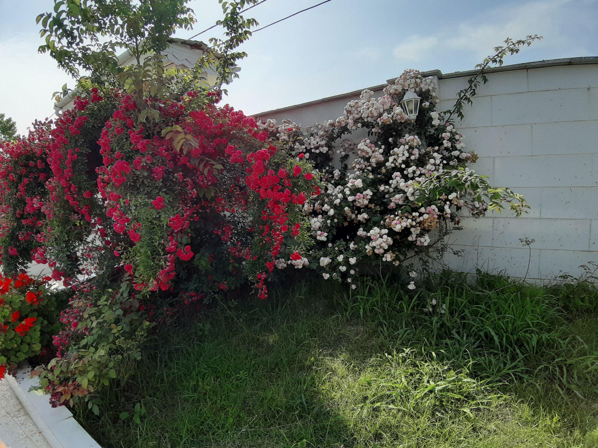 اجاره ویلا مهردخت خواجه زاده