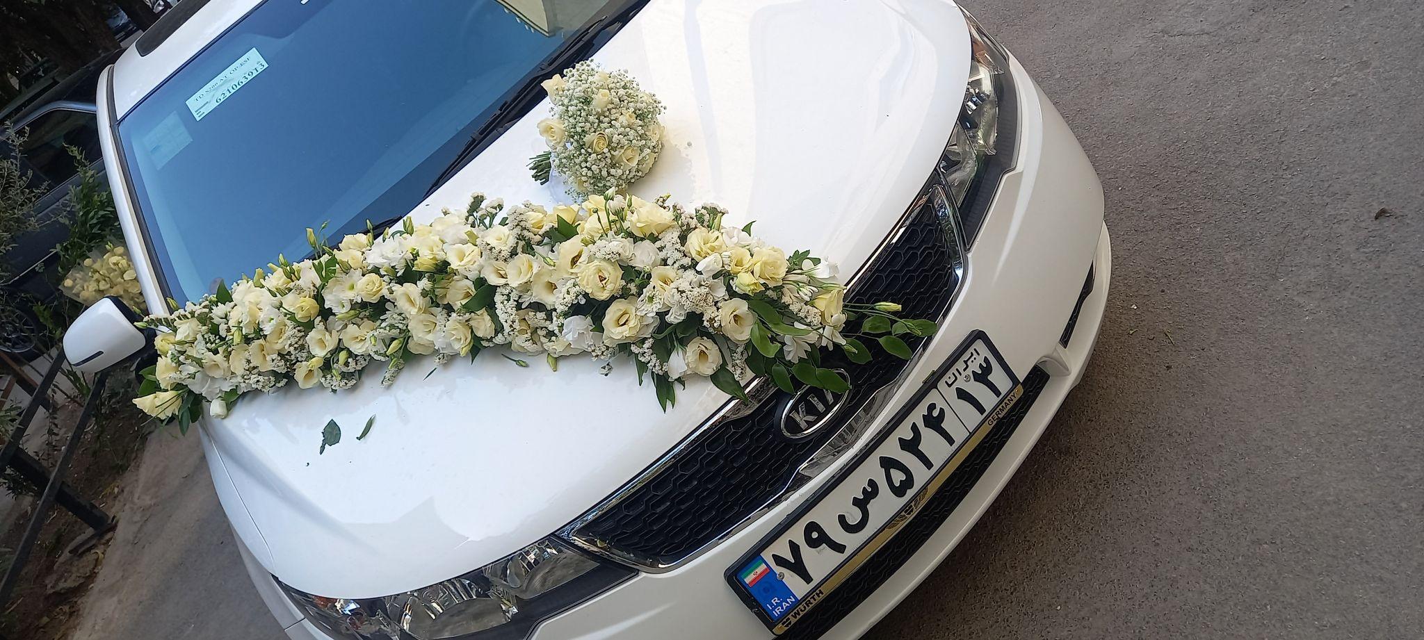 گل ارای مجالس