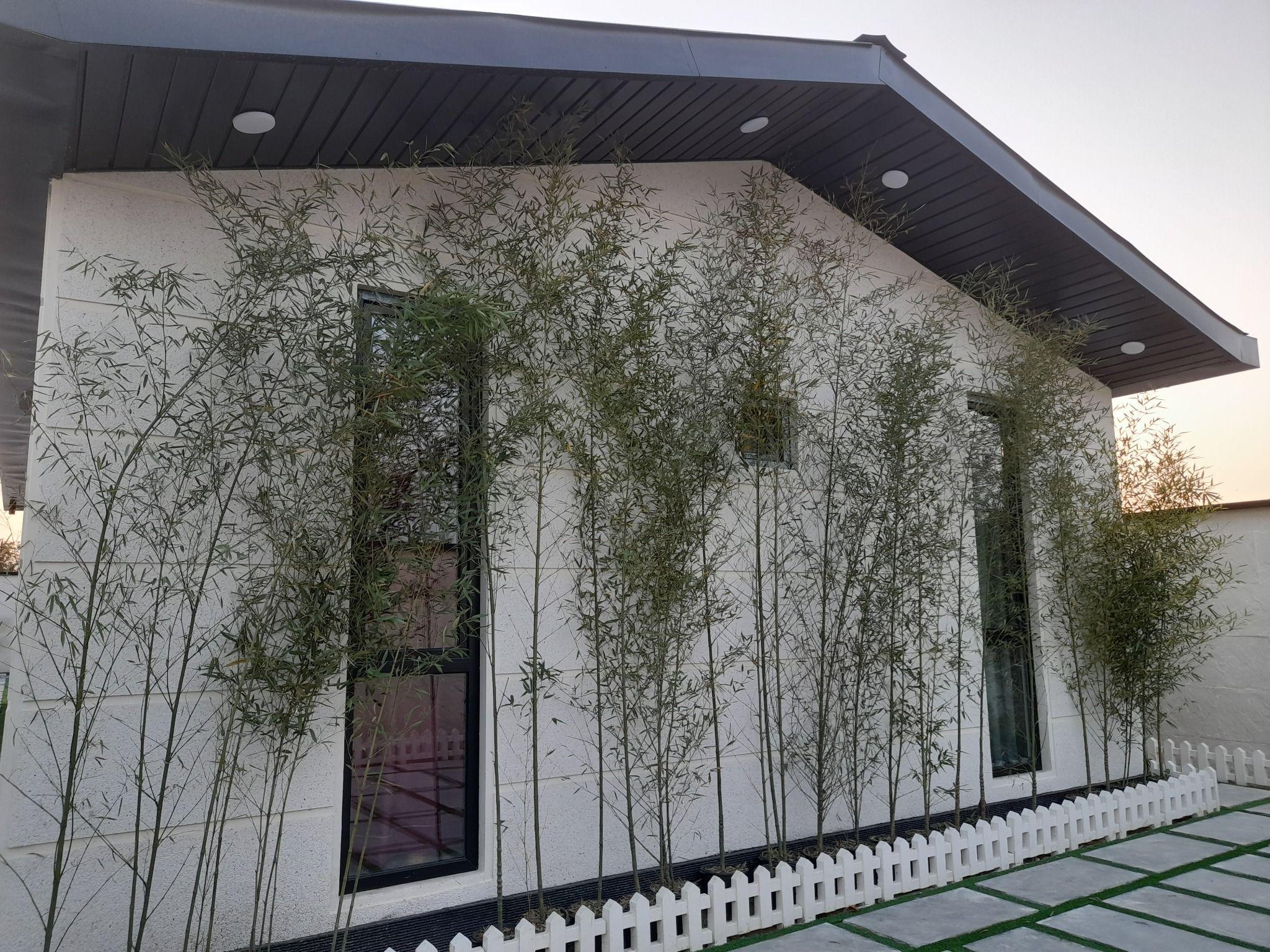 اجاره ویلا سعید ابوالحسنی