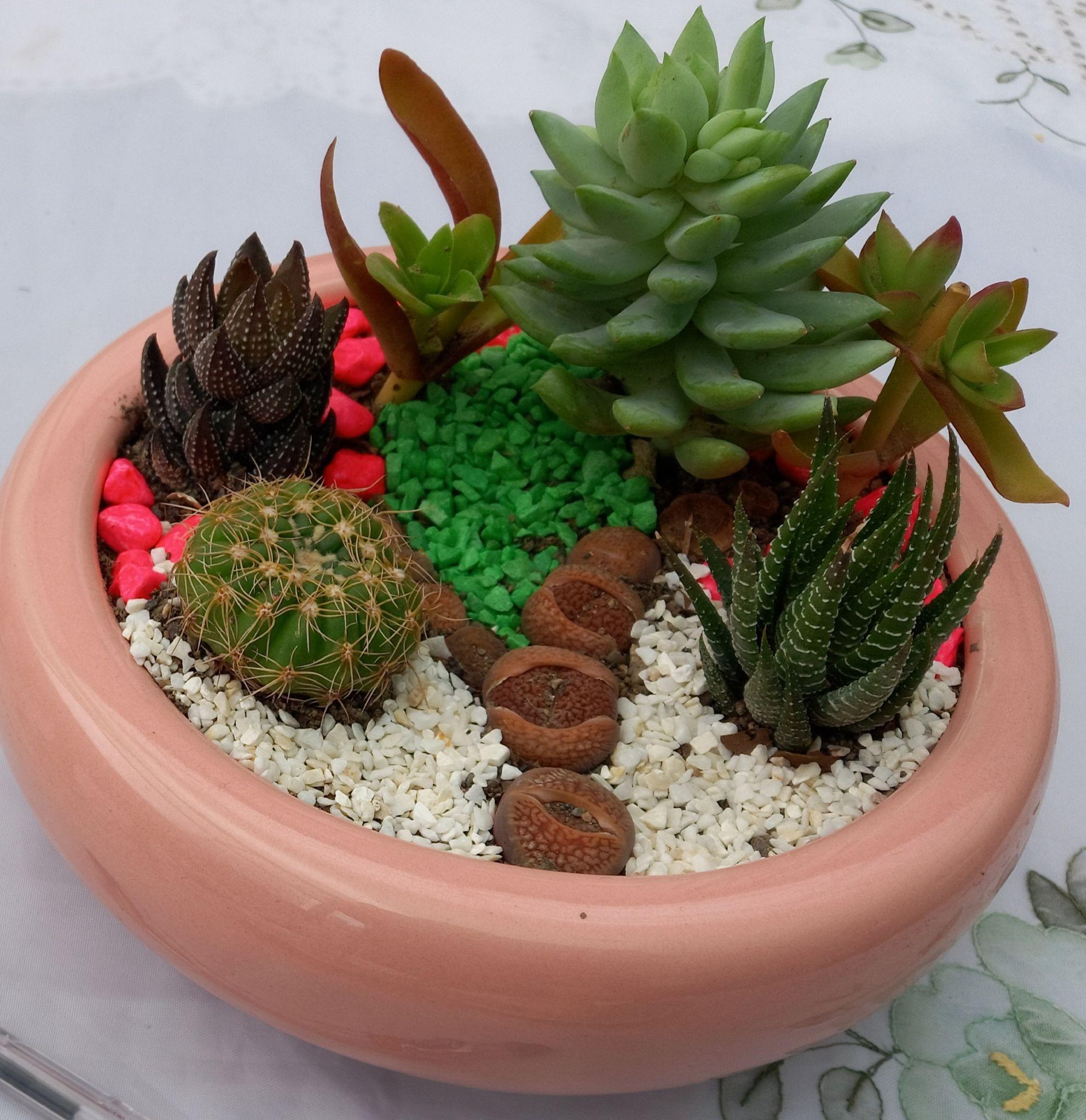 گلخانه مشهد باغ بهشت