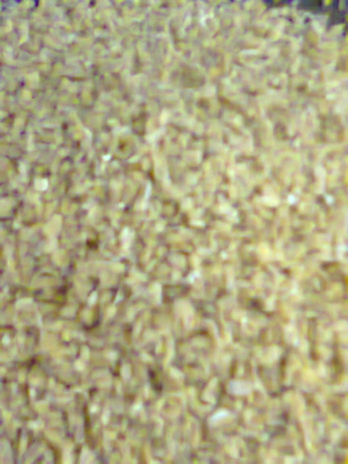 کارخانه گندم کوبی وبرنجکوبی برادران متانت