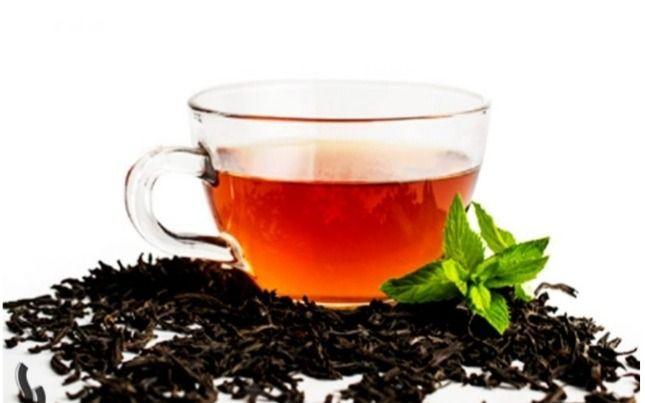 فروش محصولات شمال