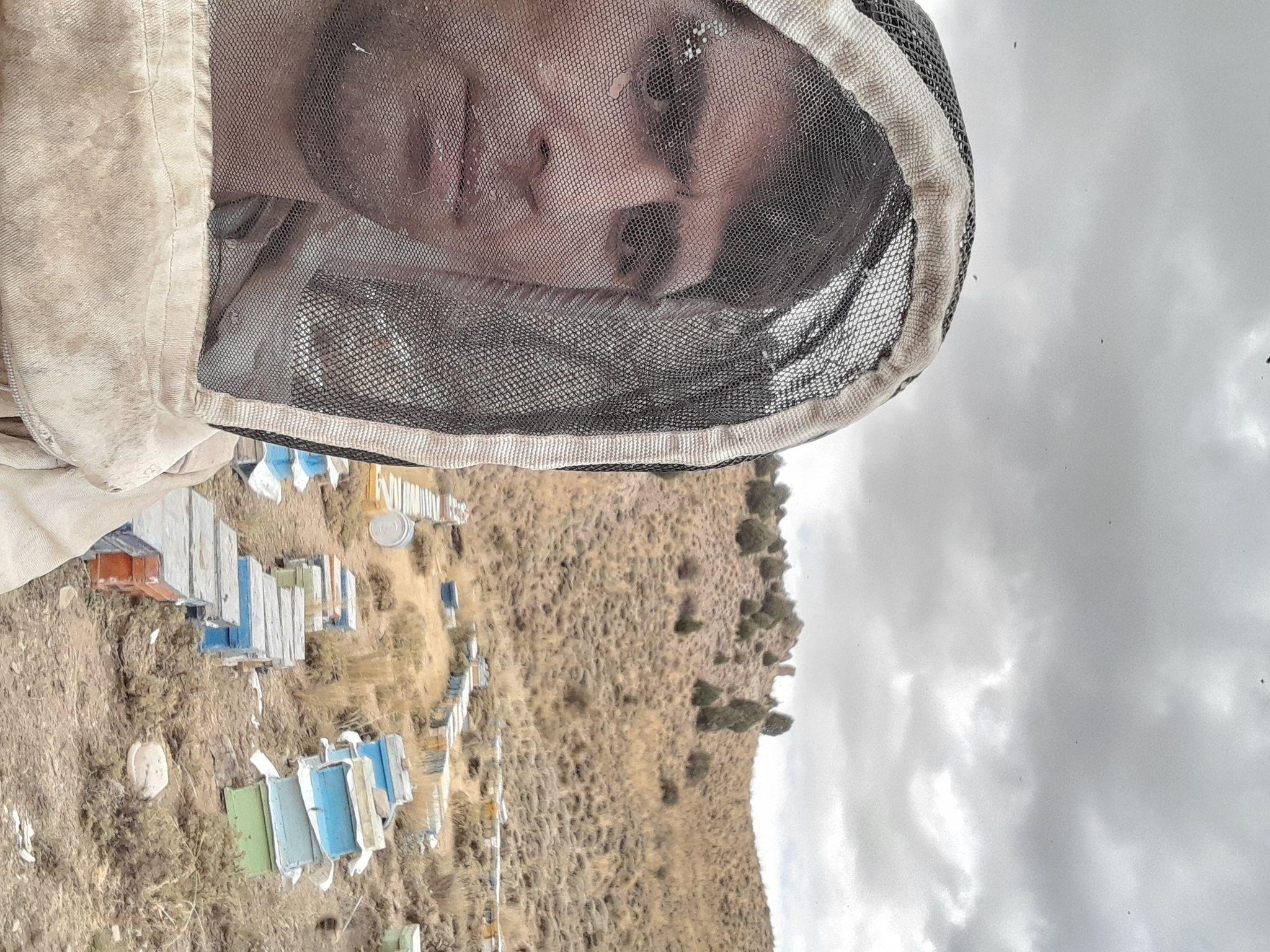 عسل طبیعی گلدره عباس حیدری (فروش سیار)