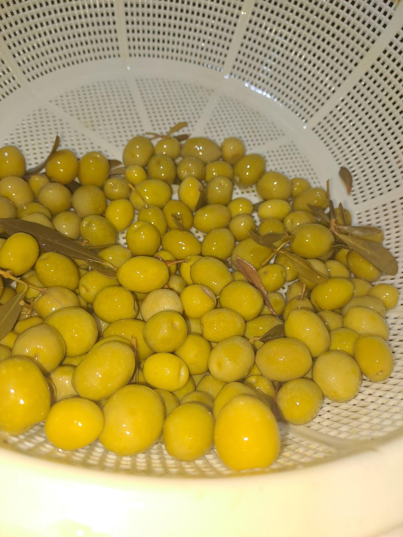 زیتون فروشی