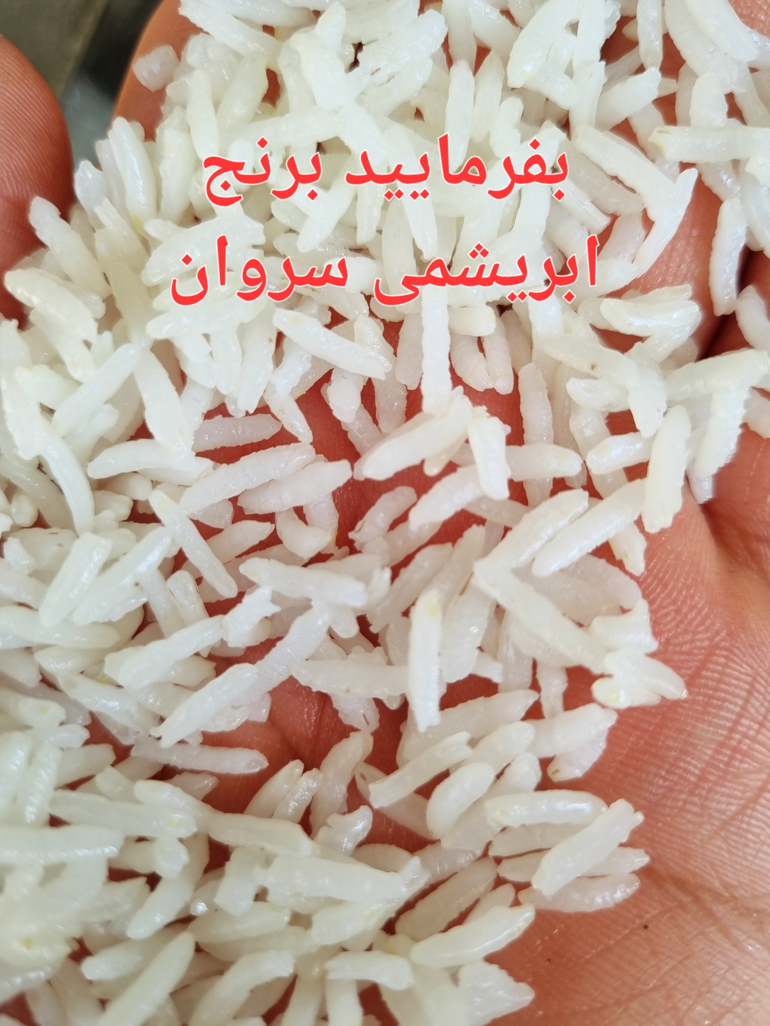 برنج ابریشمی سروان