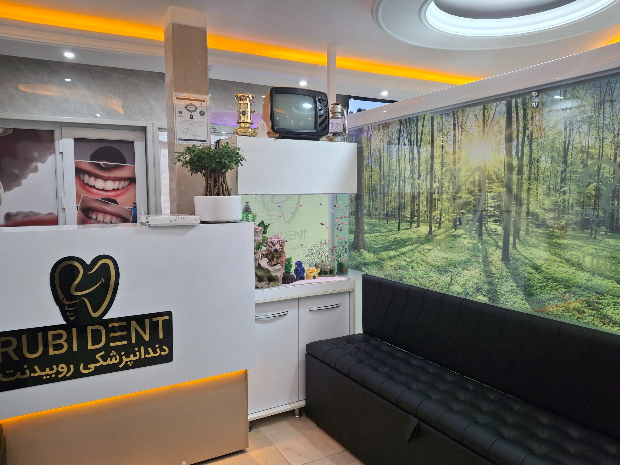 دندانپزشکی روبیدنت