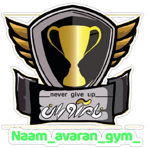 مجموعه ورزشی نام آوران