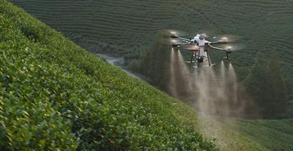 سم پاشی با پهپاد