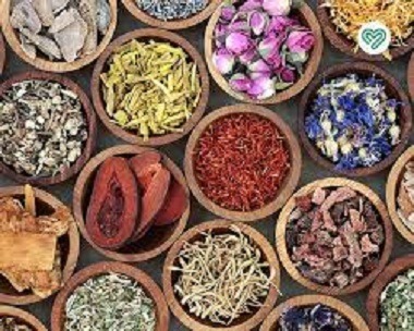 آموزشگاه  طب سنتی شفا