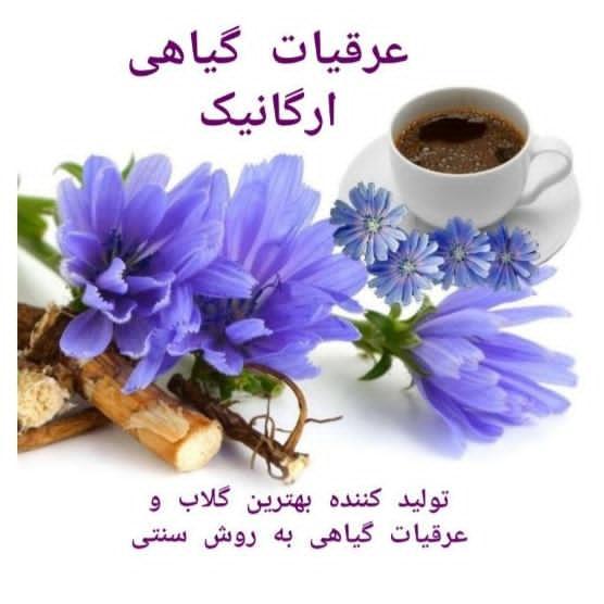 تولید کننده گلاب و انواع عرقیات  ارگانیک