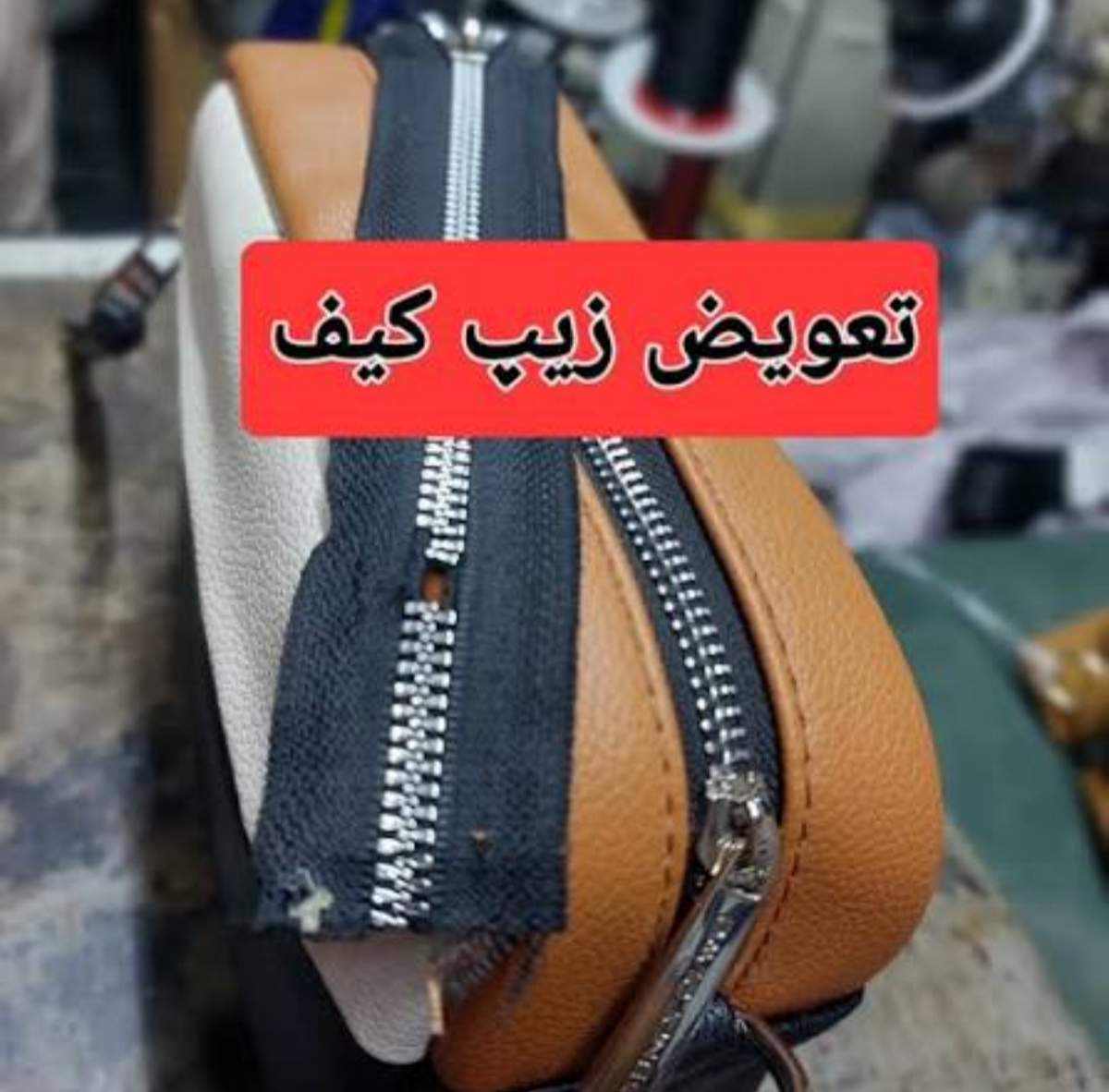 کفاشی محمود